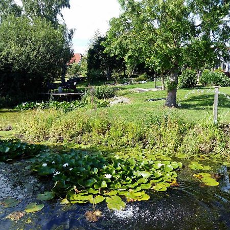 "Balmgarten" Im Naturpark Usedom, Bio Solarhaus Mit Grossem Garten المظهر الخارجي الصورة