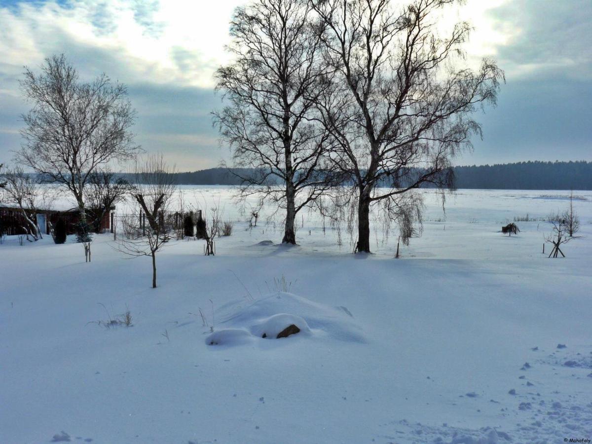 "Balmgarten" Im Naturpark Usedom, Bio Solarhaus Mit Grossem Garten المظهر الخارجي الصورة