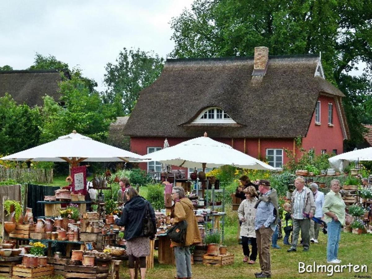 "Balmgarten" Im Naturpark Usedom, Bio Solarhaus Mit Grossem Garten المظهر الخارجي الصورة