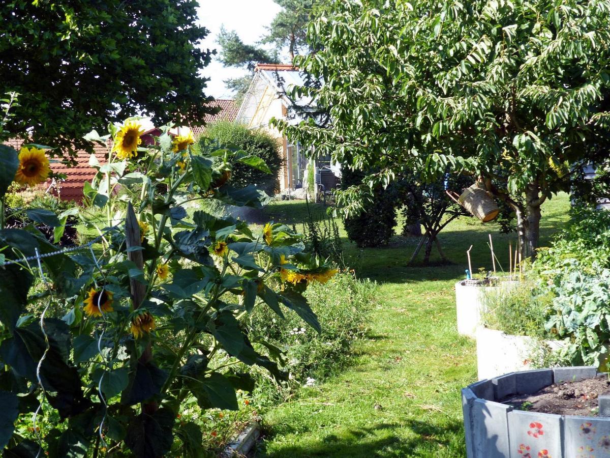 "Balmgarten" Im Naturpark Usedom, Bio Solarhaus Mit Grossem Garten المظهر الخارجي الصورة