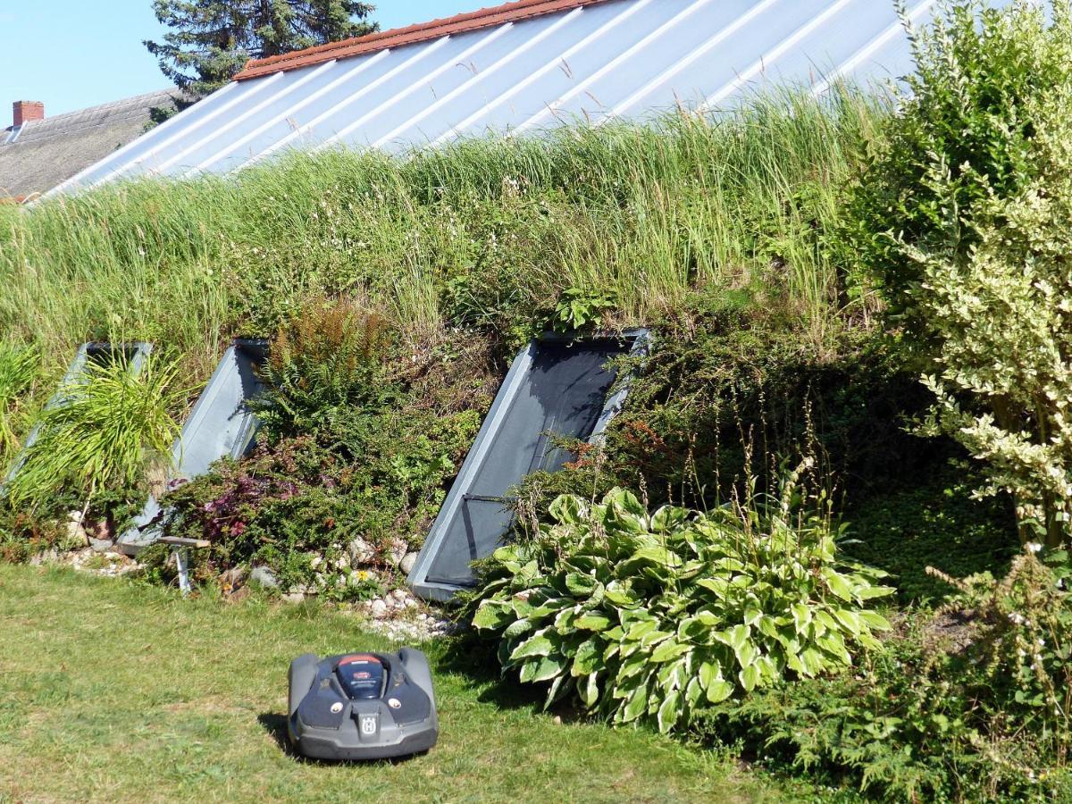 "Balmgarten" Im Naturpark Usedom, Bio Solarhaus Mit Grossem Garten المظهر الخارجي الصورة