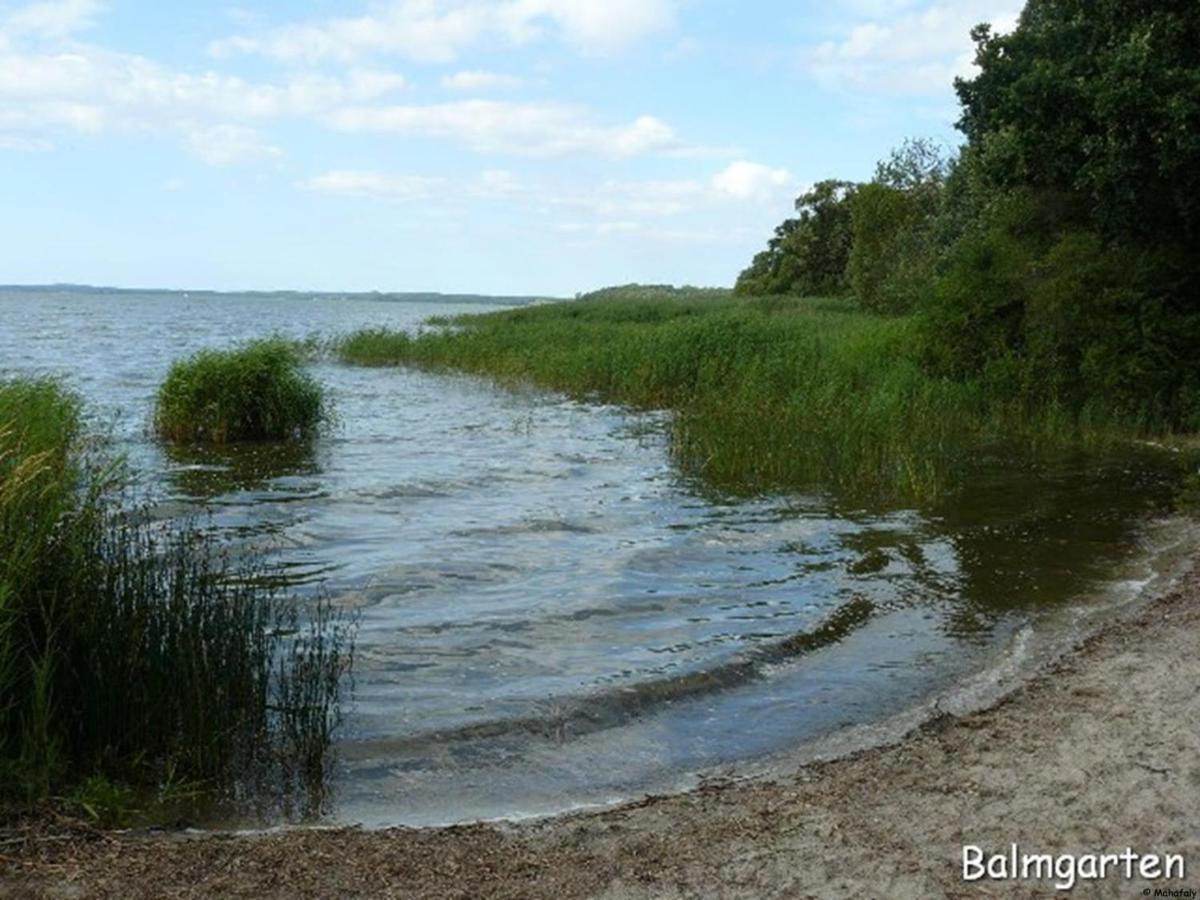 "Balmgarten" Im Naturpark Usedom, Bio Solarhaus Mit Grossem Garten المظهر الخارجي الصورة