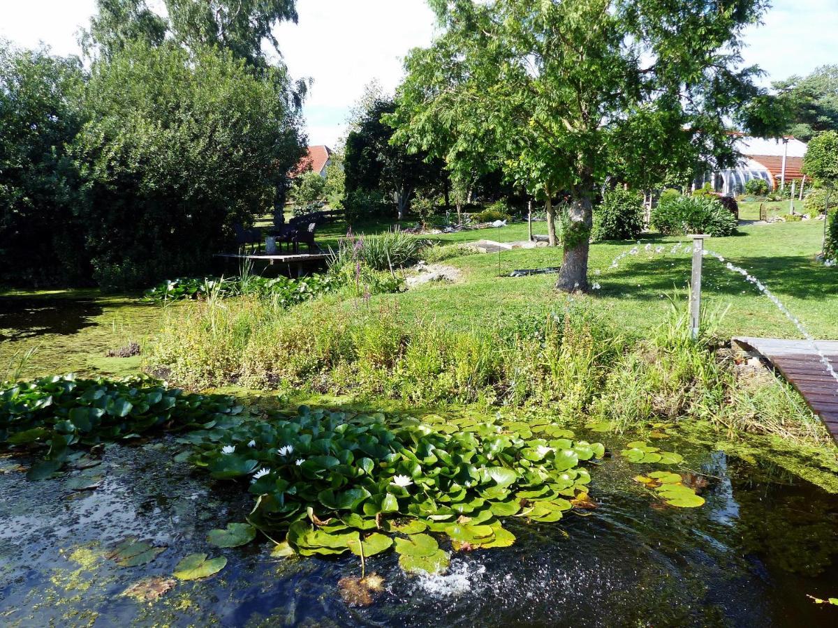 "Balmgarten" Im Naturpark Usedom, Bio Solarhaus Mit Grossem Garten المظهر الخارجي الصورة